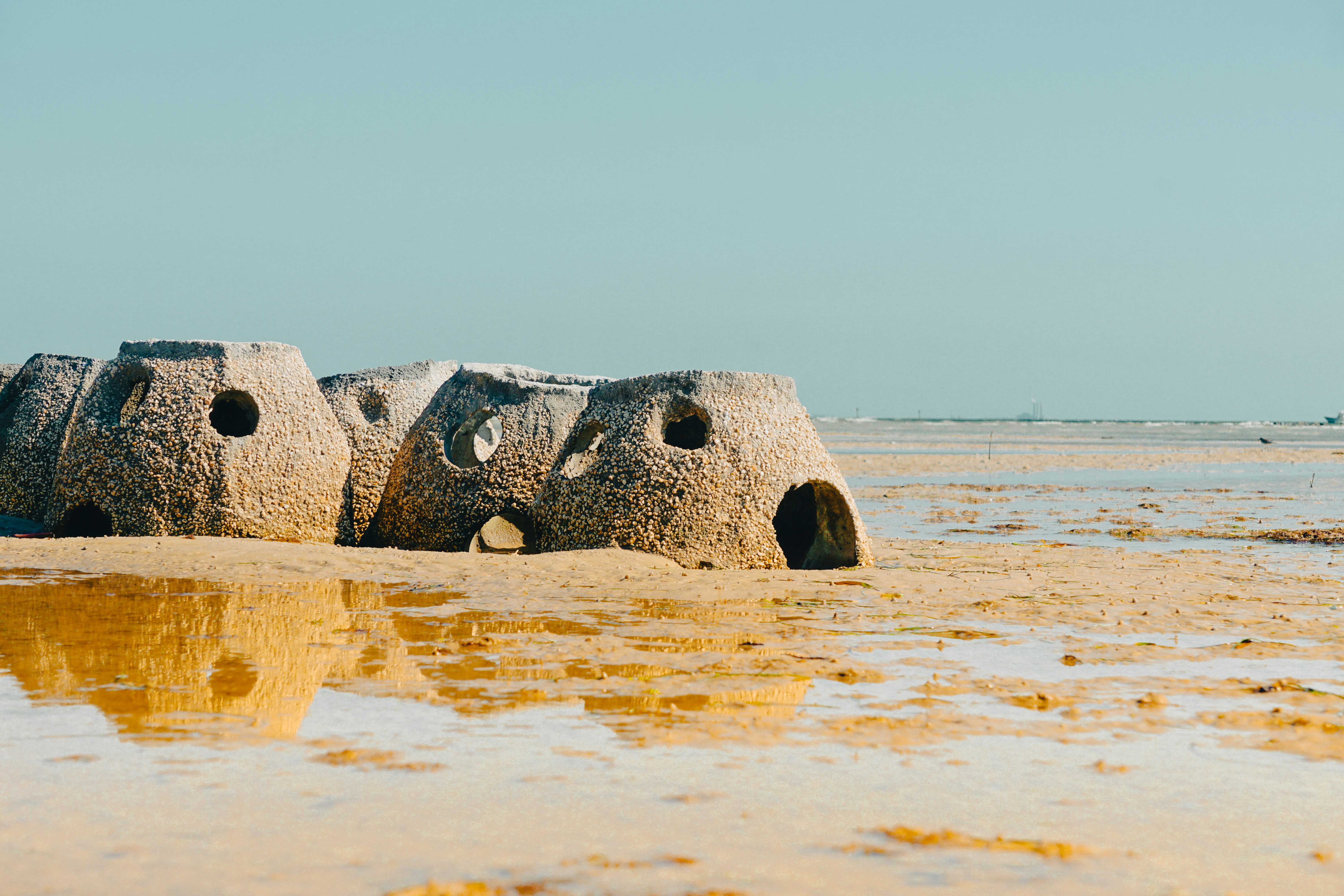 A cluster of oyster reef balls - large, domed structures - on the shore. 