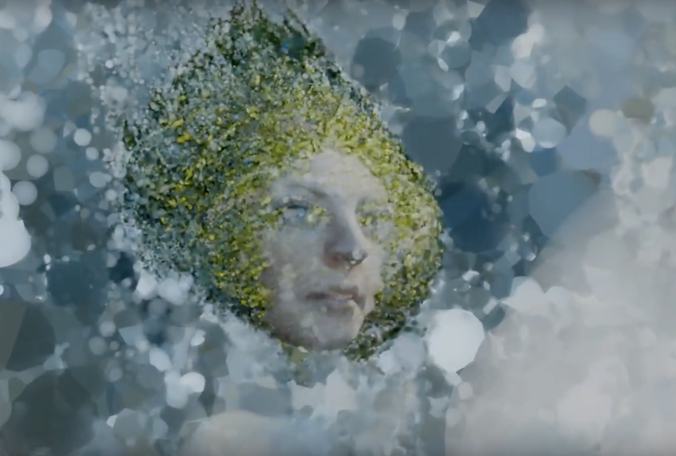 "Mermaid Stone at the Beach" by Martina Froschl. A computer animation of a stone covered in algae made to look like a woman's face with green hair. 