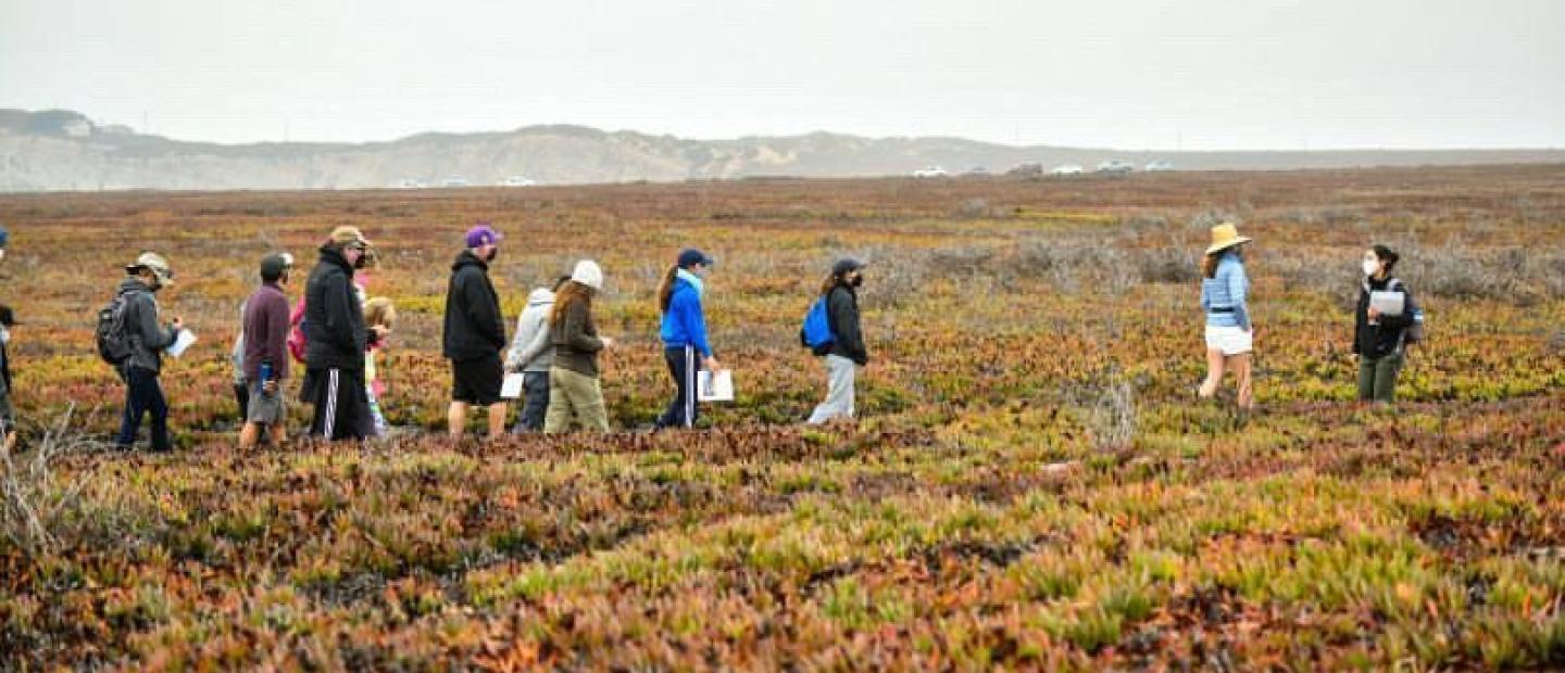 Dangermond Preserve group hike