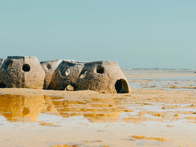 A cluster of large domed structures on the shore. 