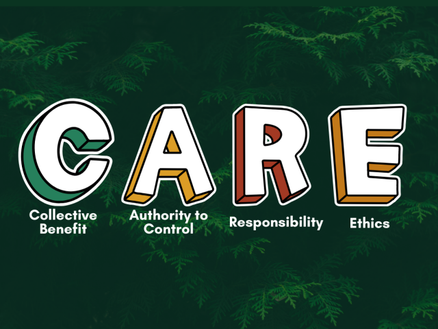 CARE principles