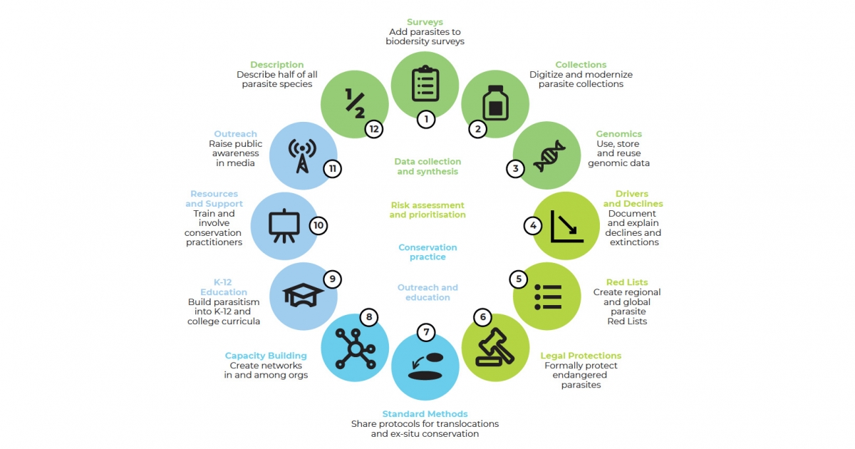 Invasive Species Research Graphic Organizer Infographic Bilingual Bundle