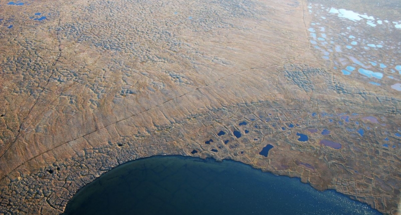An aerial view of land and water near Utqiagvik, Alaska. The land appears divided into shapes - these are ice-wedge polygons, a feature of permafrost.
